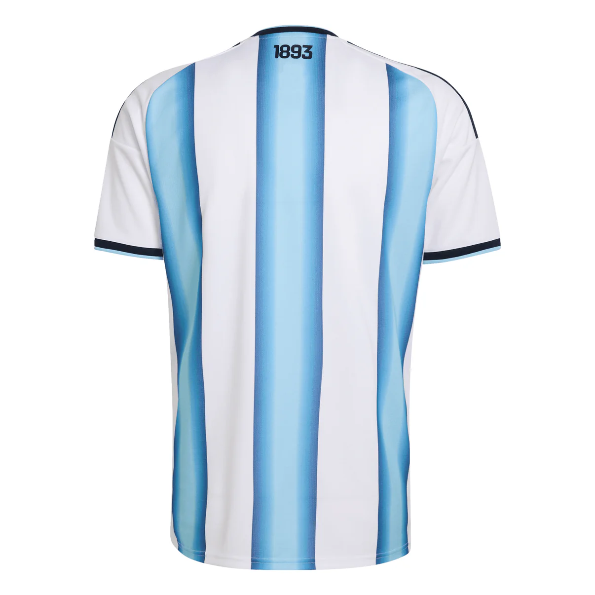 Argentina 2026 world cup national home stadium replica jersey back view