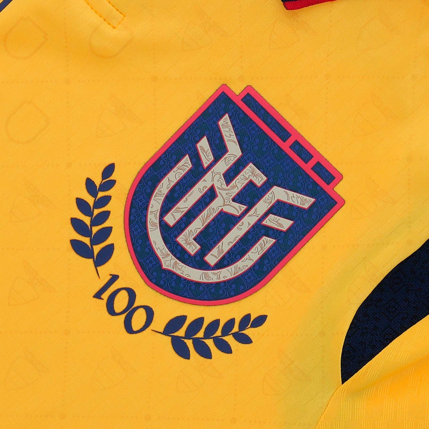 Official Ecuador FEF 100th Year Away Jersey Limited Centennial Edition Men's