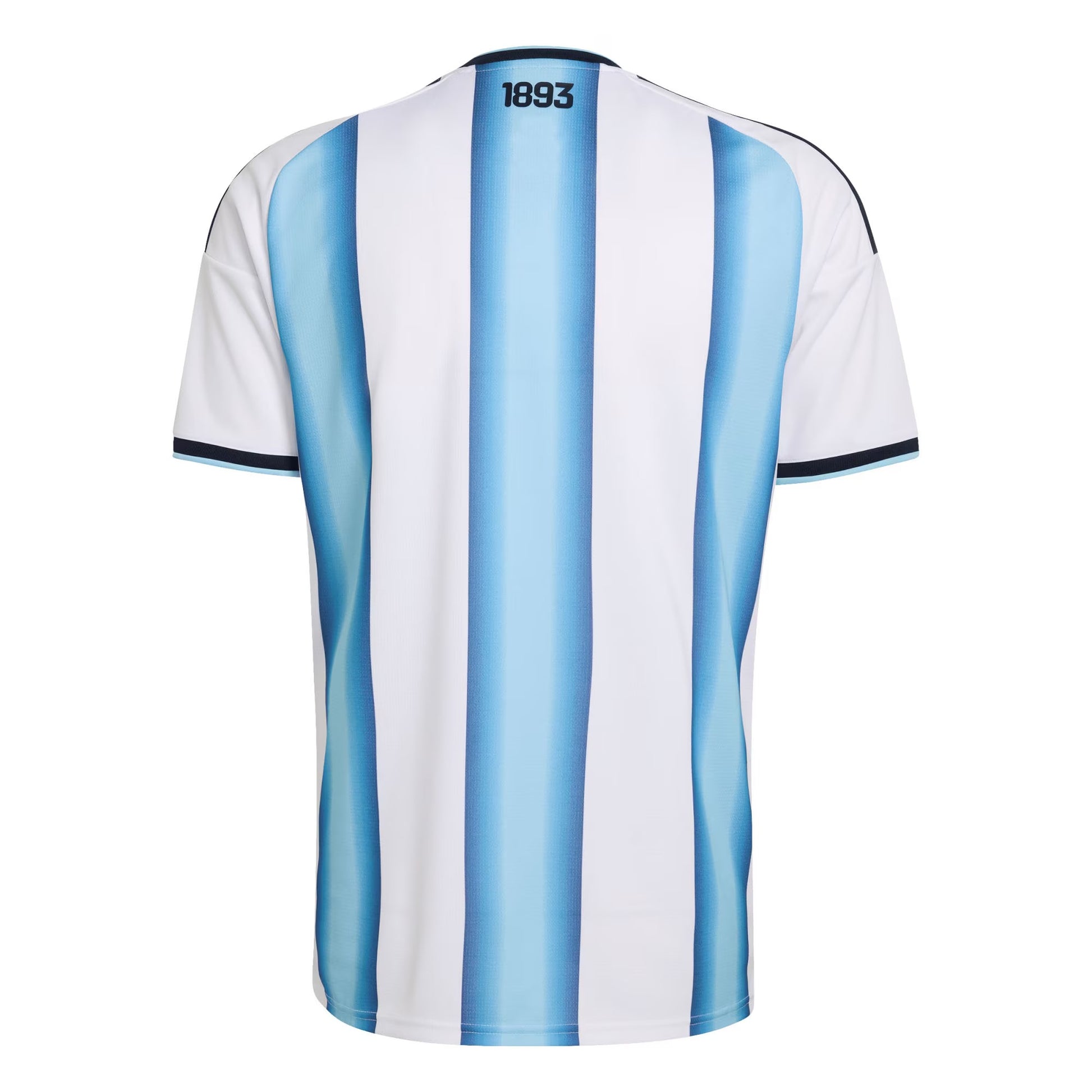 back view of Men's Argentina 2026 World Cup Home Stadium Replica Jersey