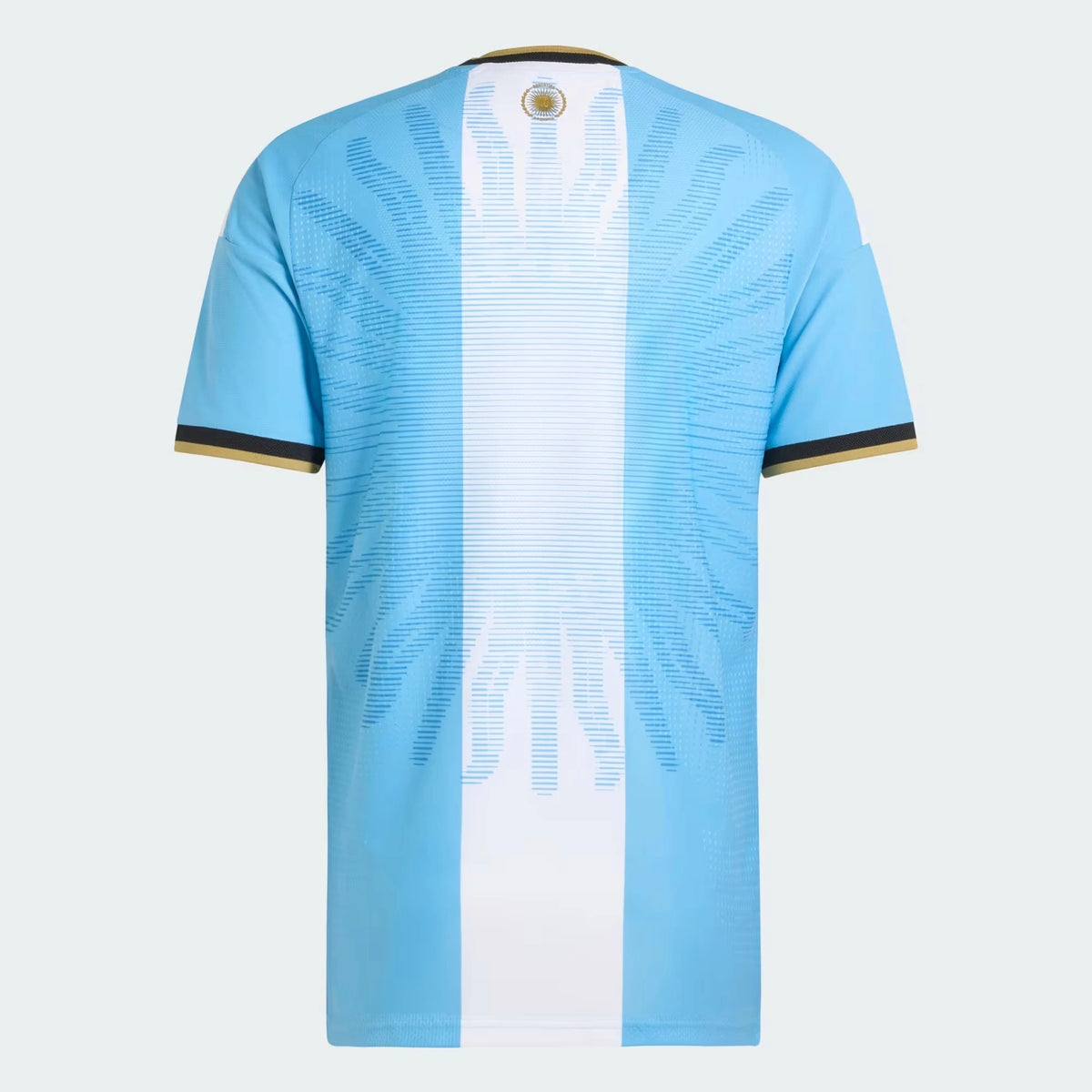 Back view of Argentina national team AFA x Messi light blue replica football shirt with Lionel Messi name and number 10 printing by Final Third Kit