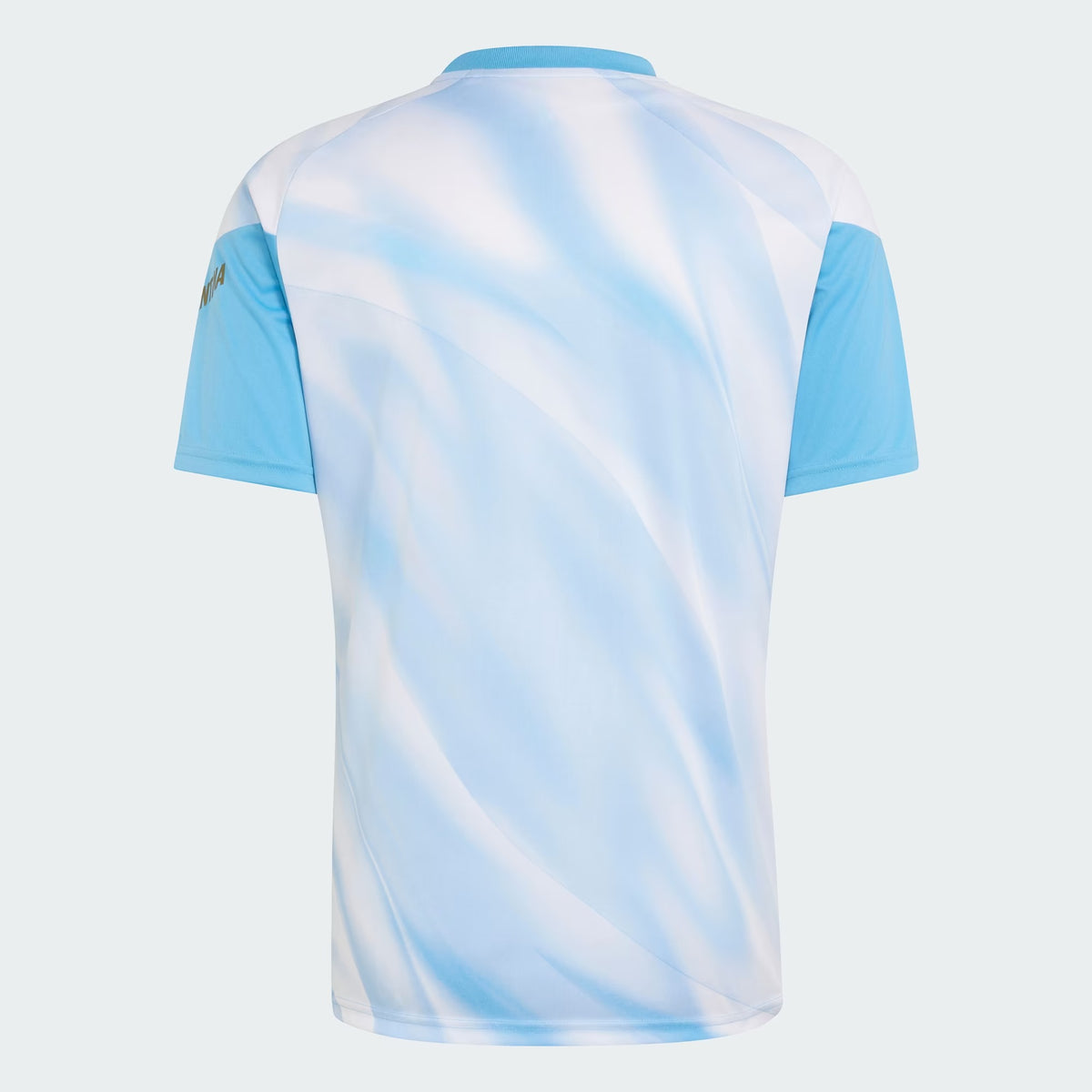 Back view of Argentina national team AFA x Messi light blue replica football shirt with Lionel Messi name and number 10 printing by Final Third Kit