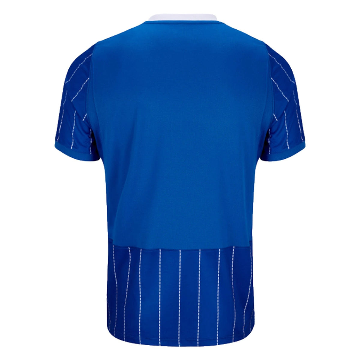 Back view of Brighton & Hove Albion F.C. 2026-2027 home blue replica football shirt by Final Third Kit