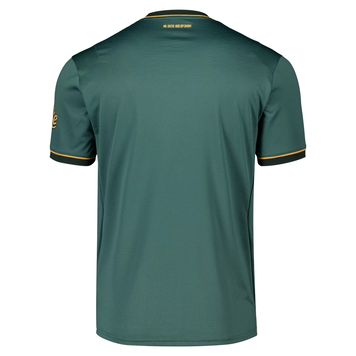 Back view of Everton Castore 2026-2027 third green pro football shirt by Final Third Kit