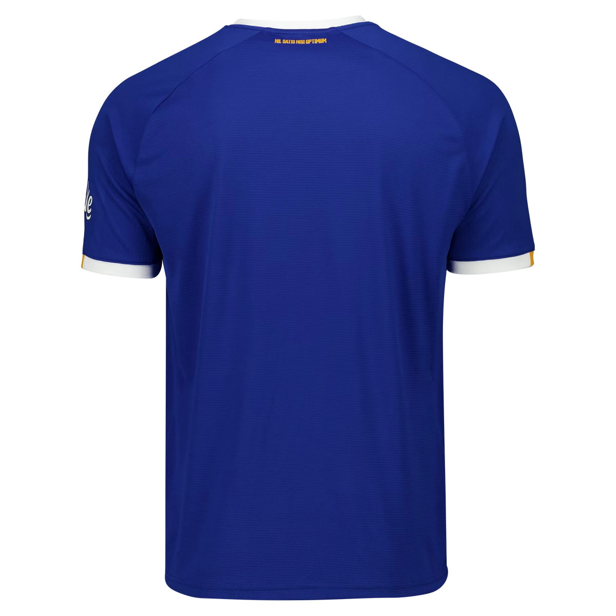 Back view of Everton Castore 2026-2027 home blue replica football shirt by Final Third Kit