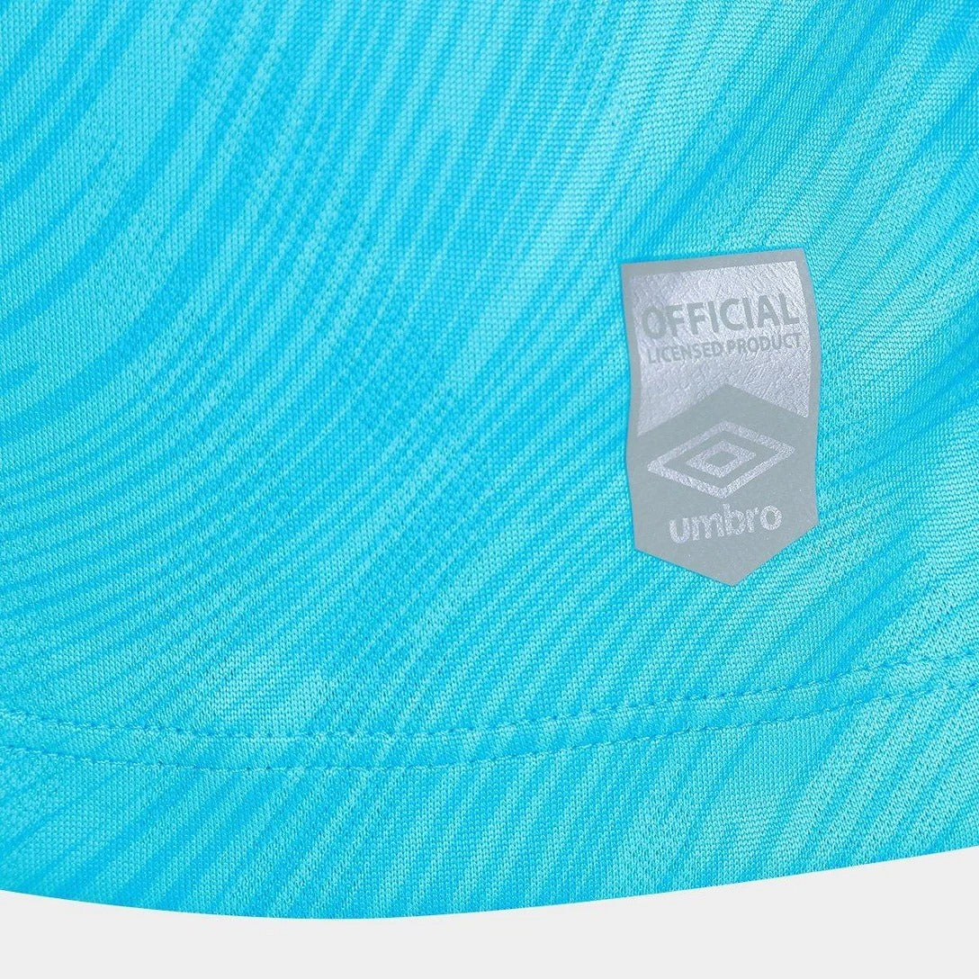 Santos FC 25/26 Neymar Jr. #10 Fan Special Edition Jersey