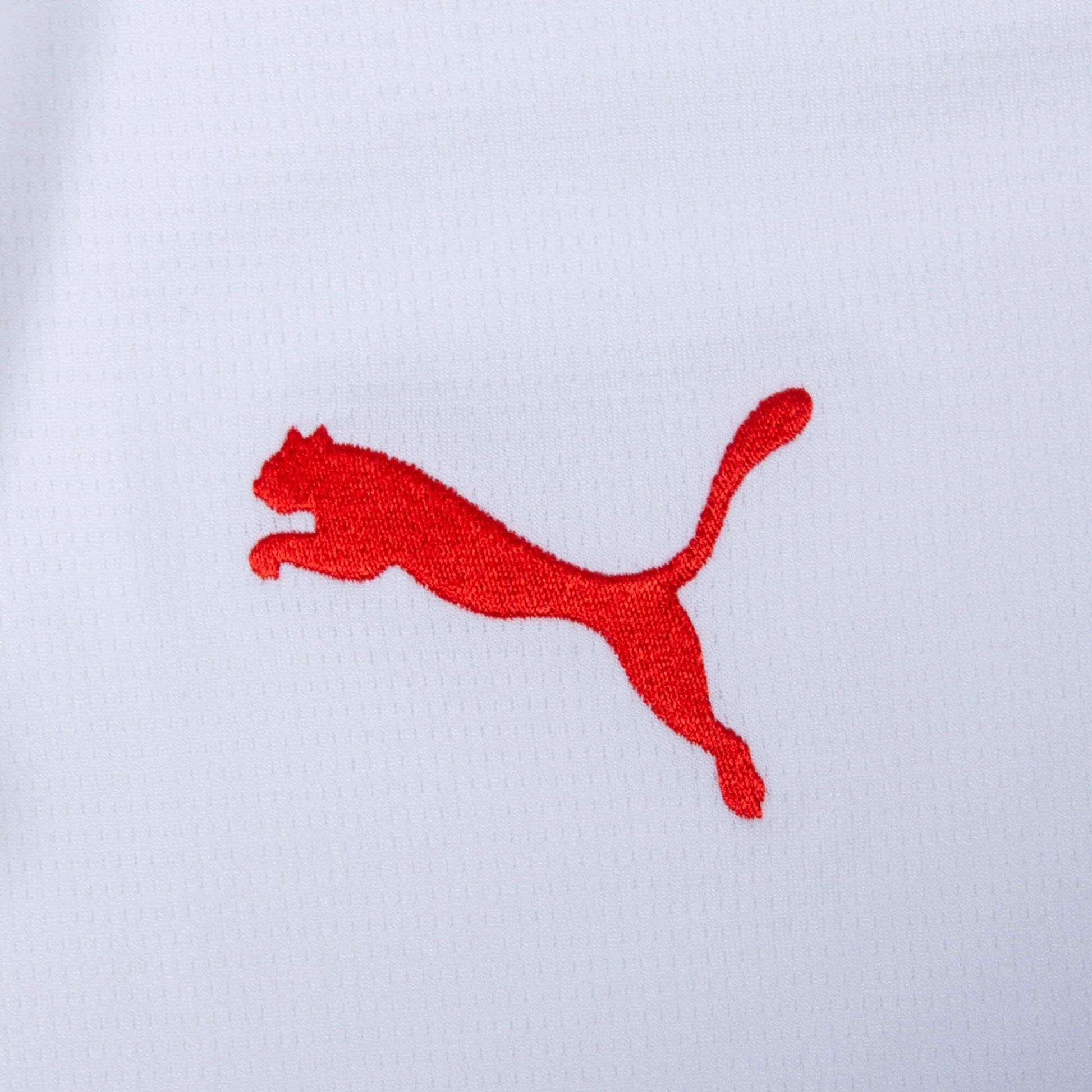 Morocco 2026 Away Jersey puma logo