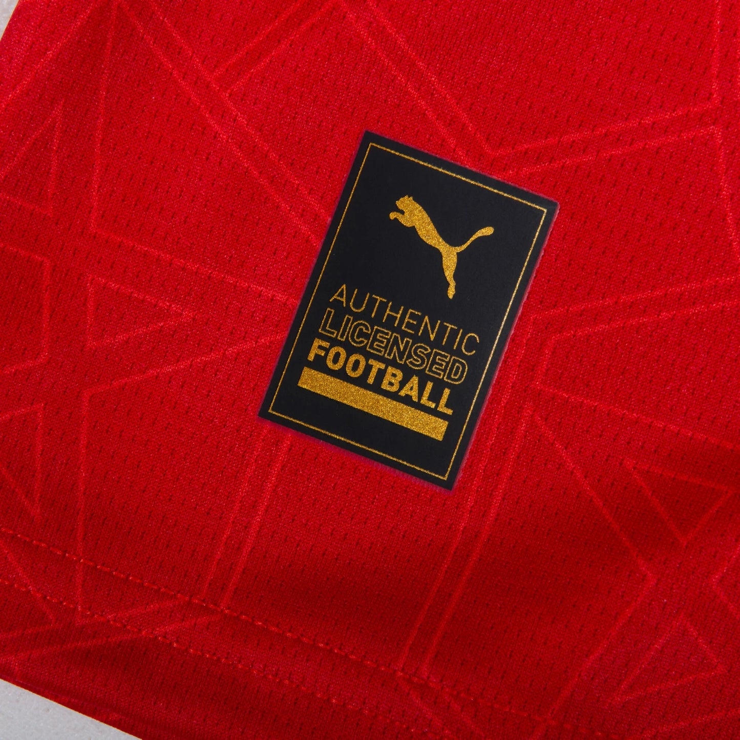 Morocco 2026 Home Jersey Details